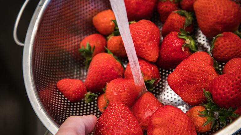 Erdbeeren mit Wasser abspülen - Schritt 3: Erdbeeren aus dem Essigwasser nehmen und gut abspülen. Erdbeeren mit Wasser abspülen - Schritt 3: Erdbeeren aus dem Essigwasser nehmen und gut abspülen.