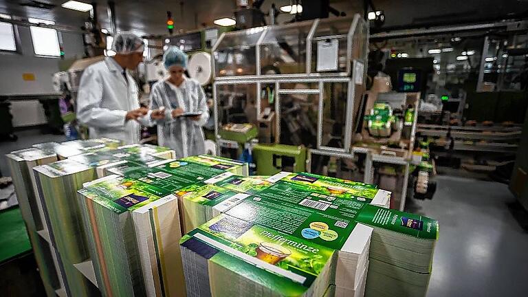 Die vorgestanzten Kartons liegen bereit, um in der Abpackmaschine hinten mit je 20 Teebeuteln befüllt zu werden.