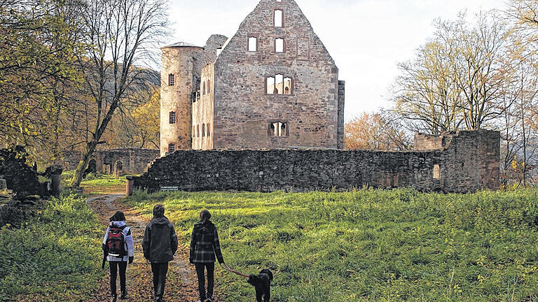 Ruine Schönrain: Zwei hoch aufragende Giebel samt Treppenturm sind markante Reste des Schlosses.