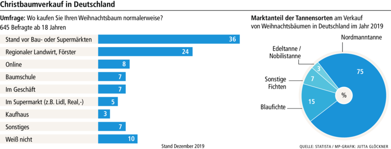 Christbaum in Corona-Zeiten: Der Trend geht zum Selbersägen