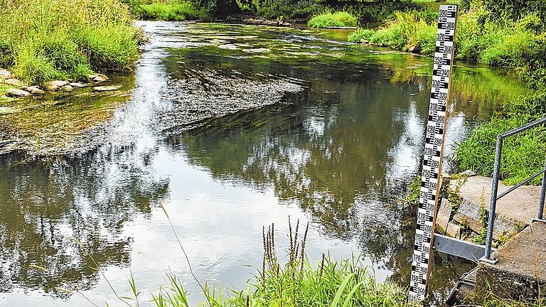 Viel Luft nach oben in Sachen Wasserstand auch im Mündungsbereich der Saale und Brend in Bad Neustadt, wie der Pegelmesser am Ufer gut verdeutlicht. Akut sind die Probleme aber noch nicht.