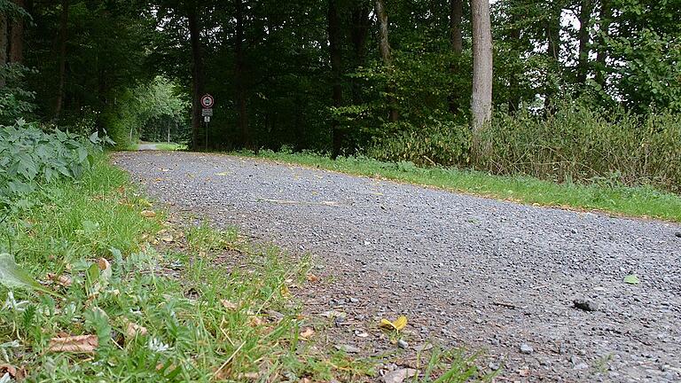 Geht es nach dem BN, soll die Gemeinde einen bestehenden Weg (im Bild) zum Radweg ausbauen.