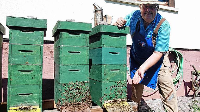Auch wenn seine Bienen gesund sind: Imkerpräsident Peter Maske aus Schwarzenau (Kreis Kitzingen) behält die wegen der Faulbrut im Landkreis Kitzingen eingerichteten Sperrbezirke aufmerksam im Blick.