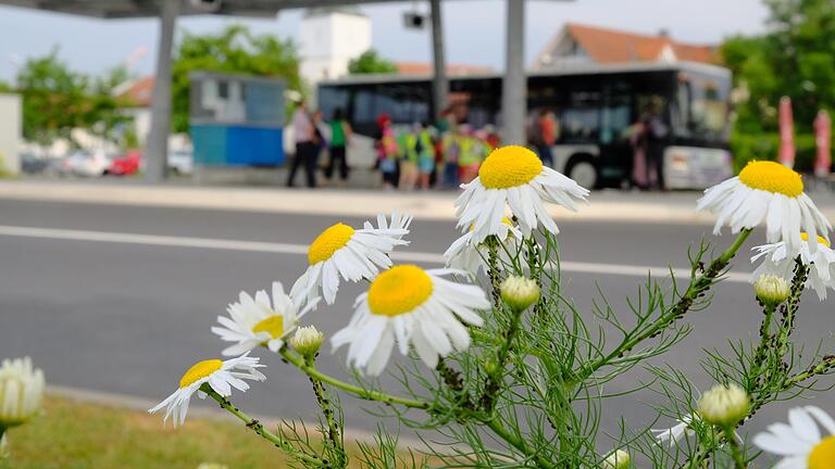 Dem Landkreis Rhön-Grabfeld 'blüht' ein Geldsegen, was die Unterstützung für den coronageplagten ÖPNV angeht. Unser Archivbild zeigt den Busbahnhof in Bad Neustadt. Dem Landkreis Rhön-Grabfeld 'blüht' ein Geldsegen, was die Unterstützung für den coronageplagten ÖPNV angeht. Unser Archivbild zeigt den Busbahnhof in Bad Neustadt.