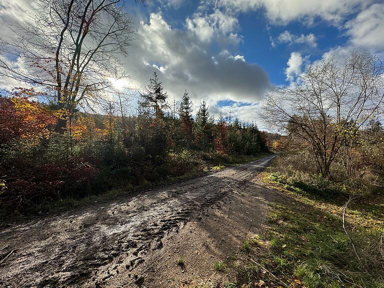 Der Untergrund variiert stark im Gramschatzer Wald. Mit Cyclocross oder Gravelbike ist Spaß garantiert. Der Untergrund variiert stark im Gramschatzer Wald. Mit Cyclocross oder Gravelbike ist Spaß garantiert.