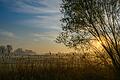 Sonnenaufgang am Ostersonntag       -  Nach einem sonnigen Start in den Ostersonntag droht es in Teilen Deutschlands, ungemütlich zu werden.