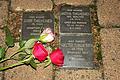 Die Rosen auf den Stolpersteinen erinnern für einige Tage an die jüdischen Kinder, Frauen und Männer, die einst in diesen Häusern gelebt haben.