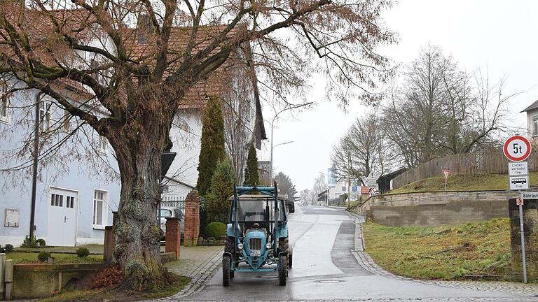 Mit einer knappen Mehrheit hat der Gemeinderat die Fällung der Linde an der 'Bahra Straße' in&nbsp; Hendungen beschlossen.