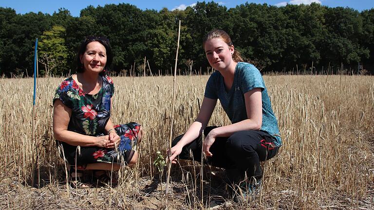 Beim Gang über das Gelände des Karlstadter Klimawaldes bietet sich Martha Bolkart-Mühlrath (links), zweite Bürgermeisterin Karlstadts, und Försterin Claudia Stiglbrunner ein trauriges Bild.