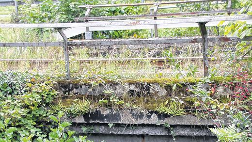 Muss weg: Wenn die Bahn sie findet, muss sie diese Brücke der Saaletalbahn bei Schonderfeld dringend ersetzen.