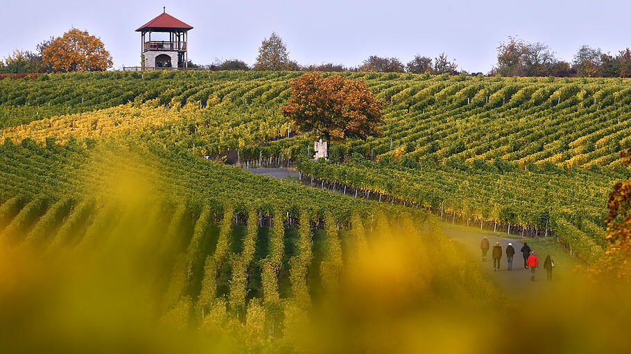 Aussichtsturm Sommerach       -  Umgeben von Weinreben können Brautpaare in Sommerach am Aussichtsturm heiraten.