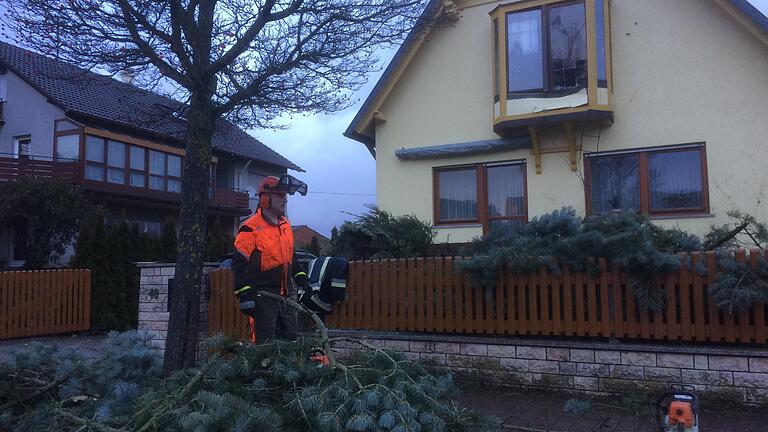 In der Reckentalstraße stürzte ein Baum gegen ein Haus und drückte die Scheibe eines Erkers ein.