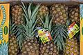 Minifrüchte liegen im Trend. Auch bei Ananas gibt es inzwischen Schrumpf-Sorten. Fotos: Paul Zinken/dpa Foto: Paul Zinken       -  Ananas enthält viel Vitamin C.