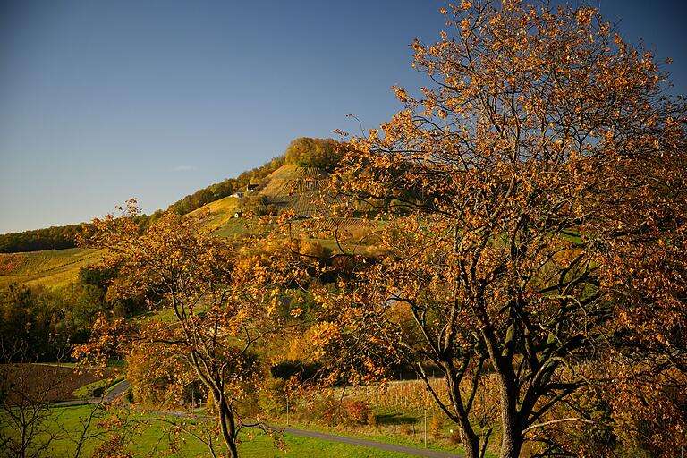 Von der Panoramaschaukel am Steigerwaldzentrum haben wir einen wunderbaren Blick auf den Stollberg. Von der Panoramaschaukel am Steigerwaldzentrum haben wir einen wunderbaren Blick auf den Stollberg.