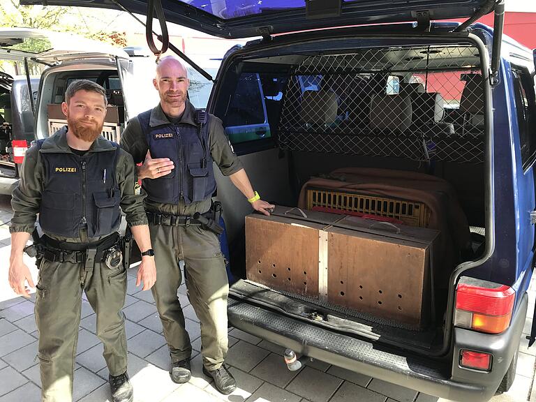 Zwei Polizisten stehen vor der Heckklappe des Transporters, mit denen die Boxen mit sichergestellten Tieren zu deren vorläufigen Unterkunft gefahren werden.