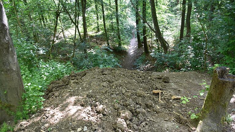 Die extra aufgeschüttete Rampe für besonders spektakuläre Sprünge in die Tiefe im Staatswald bei Höchberg ist mittlerweile von Mitgliedern der Würzburg Riders unbrauchbar gemacht worden.