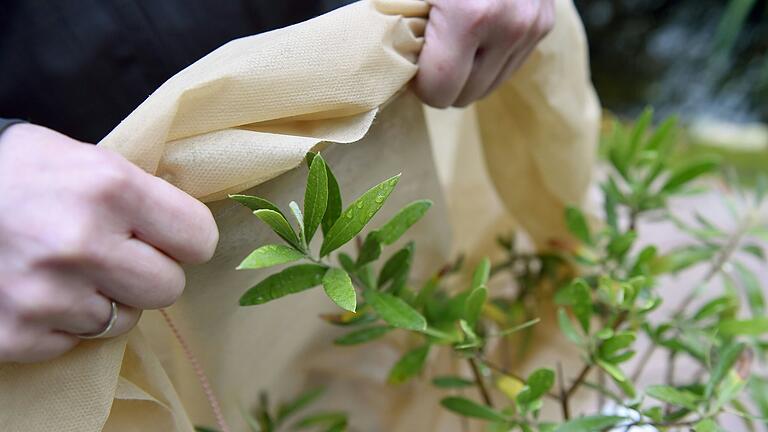 Wie mache ich den Garten oder Balkon winterfest? Über das Astgerüst von Pflanzen sollte beispielsweise keine Plastikfolie gelegt werden, besser eignet sich Vlies.