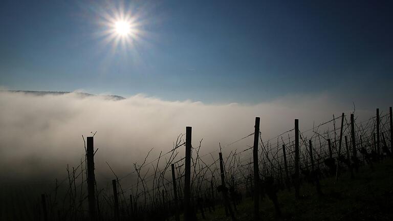 Nebeldecke in den Weinbergen bei Prüßberg. Die dürfte sich allerdings spätestens dann verzogen haben, wenn der Bund Naturschutz am Samstag zu einer Wanderung im Spitalgrund einlädt. Nebeldecke in den Weinbergen bei Prüßberg. Die dürfte sich allerdings spätestens dann verzogen haben, wenn der Bund Naturschutz am Samstag zu einer Wanderung im Spitalgrund einlädt.