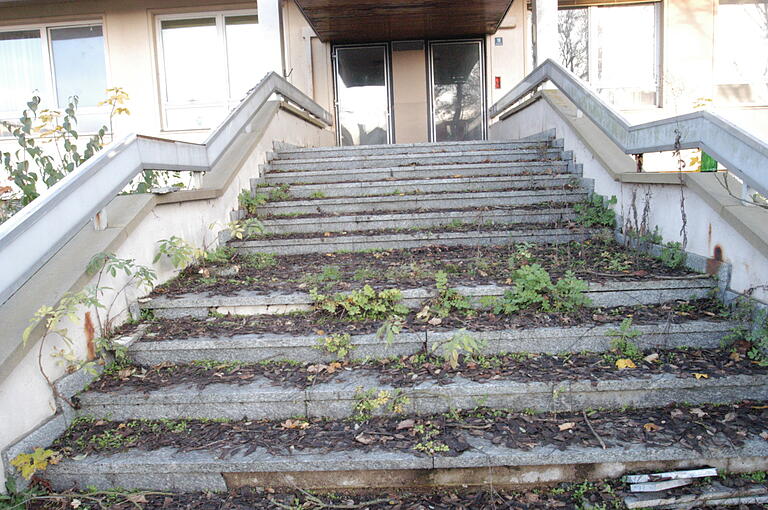 Die Natur holt sich alles wieder zurück: Diese Treppen zum Eingang ist schon lange keiner mehr hochgegangen.