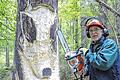 Koppenwinder Glocke: Der Gerolzhöfer Bildhauer Florian Tully arbeitet an dem Wildschwein, das der Sage nach im Wald eine Glocke ausgegraben haben soll.