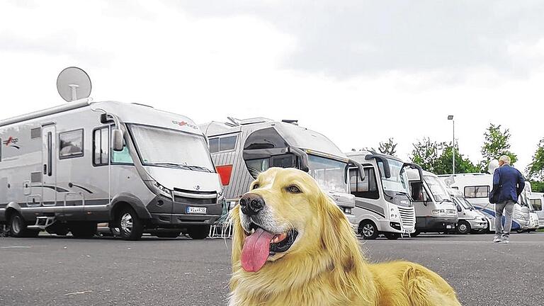 Bewachter Parkplatz: Am Pfingstwochenende trafen sich an die hundert Wohnmobilfreunde aus ganz Deutschland in Niederwerrn. Bewachter Parkplatz: Am Pfingstwochenende trafen sich an die hundert Wohnmobilfreunde aus ganz Deutschland in Niederwerrn.