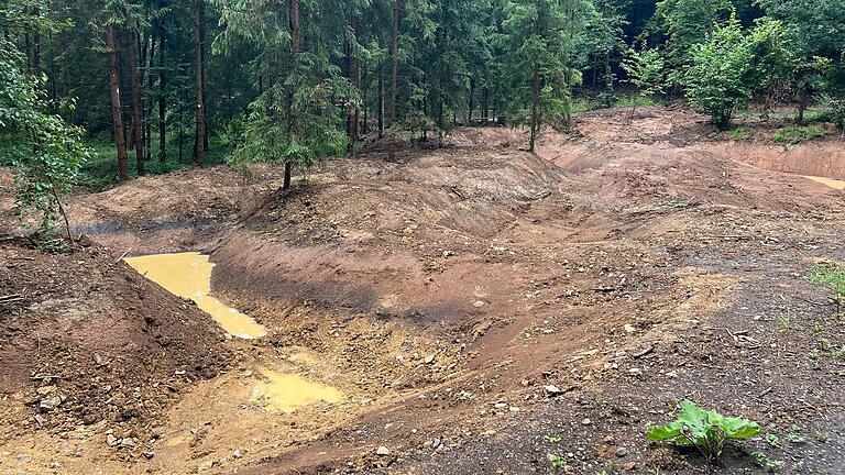 Wasserrückhaltung dient laut Kraus der Abmilderung von Klimaschäden im Wald Wasserrückhaltung dient laut Kraus der Abmilderung von Klimaschäden im Wald