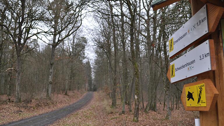 Die Forststraße zwischen den Ermershäuser Waldabteilungen Kührasen und Geisschlag dient auch als Wanderweg und Laufstrecke. Förster&nbsp;Wolfgang Meiners appellierte, den Wert des Waldes wieder stärker in den Blick zu nehmen.