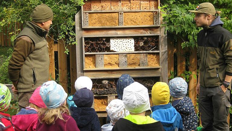 Am Insektenhotel. Am Insektenhotel.