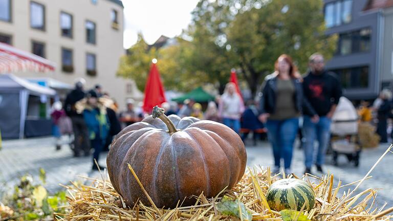 Der verkaufsoffene Sonntag und der traditionelle Erntedankmarkt lockten am Sonntag zahlreiche Besucherinnen und Besucher in die Schweinfurter Innenstadt.