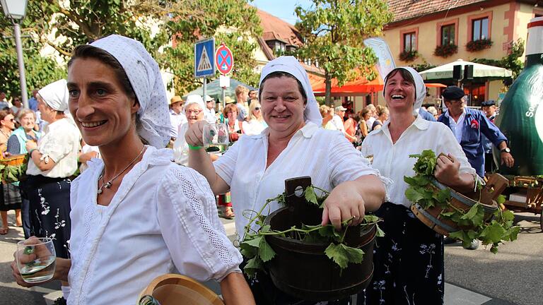 Bei strahlendem Sonnenschein schlängelte sich am Sonntag der Jubiläumsfestzug der Volkacher Winzer durch die Straßen der Stadt. Über 5000 Zuschauer säumten bei Temperaturen von 30 Grad Celsius die Wegstrecke von der Dimbacher Straße zum Weinfestgelände. 1800 kleine und große Zugteilnehmer in 78 Zuggruppen sorgten für ein farbenfrohes Spektakel, das zehn Musikkapellen musikalisch begleiteten.