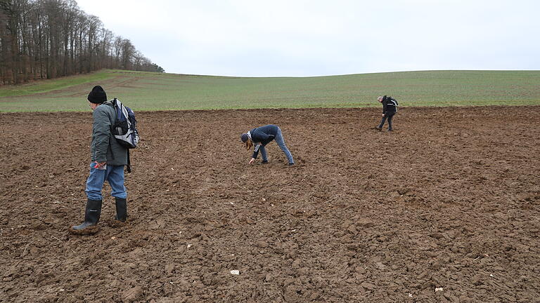 Bei Feldbegehungen durch Ehrenamtliche der Archöologischen Arbeitsgemeinschaft Karlstadt wurden in der Erde bei der 'Wüstung Seehausen' unter anderem Keramikscherben aus der Karolingerzeit gefunden.