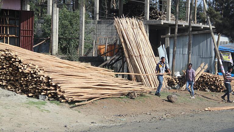Bauboom in Addis Abeba, der &quot;Gerüstbau&quot; kommt mit Eykalyptusholz kaum hinterher.