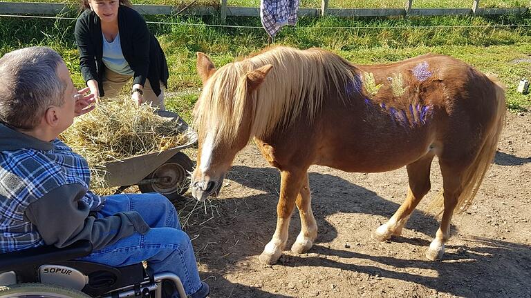 Maya, ein Thüringer Pony, unterstützt bei der heilpädagogischen Begleitung von Menschen mit verschiedenen Defiziten und Problemstellungen, mit oder ohne Behinderung. Maya, ein Thüringer Pony, unterstützt bei der heilpädagogischen Begleitung von Menschen mit verschiedenen Defiziten und Problemstellungen, mit oder ohne Behinderung.