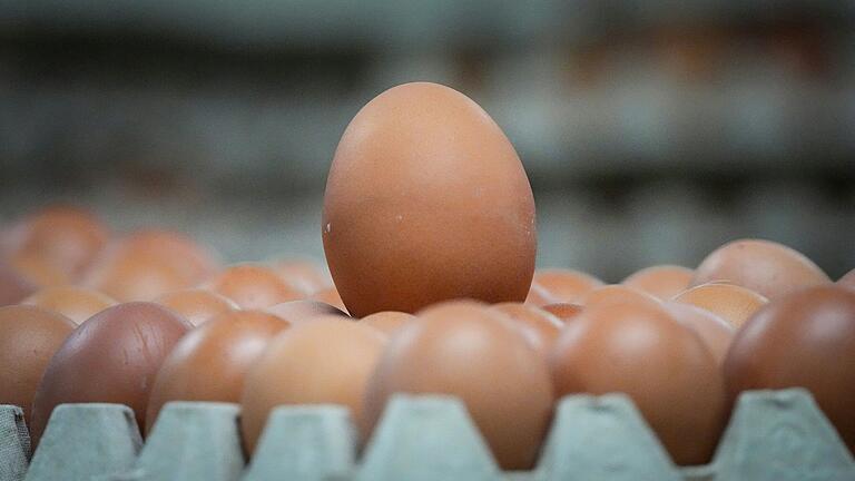 Ein älteres Pärchen plünderte einen Hofladen und ließ dabei auch alle Eier mitgehen – was sich der betroffene Landwirt nicht gefallen ließ. Er nahm die Verfolgung auf. Ein älteres Pärchen plünderte einen Hofladen und ließ dabei auch alle Eier mitgehen – was sich der betroffene Landwirt nicht gefallen ließ. Er nahm die Verfolgung auf.