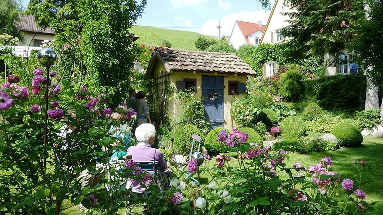 Prächtige Rosen blühen im parkähnlichen Garten von Anita Rau in Frickenhausen, die auch in diesem Jahr am Tag der offenen Gartentür wieder Einblicke in ihr Gartenparadies gewährt.