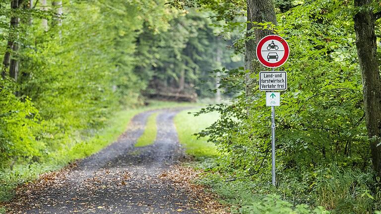 Die Gemeinde Oberaurach hätte gerne einen Radweg entlang der Staatsstraße zwischen Unterschleichach und Tretzendorf. Doch den darf sie nicht bauen, denn Naturschützer und Verwaltungsgericht sehen in diesem Schotterweg eine 'zumutbare Alternative'.