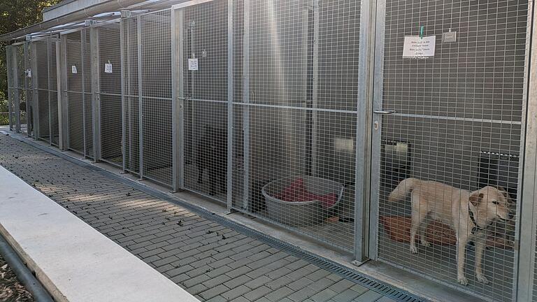 Das neue Hundehaus in der Wannigsmühle - Das neue Hundehaus in der Wannigsmühle Das neue Hundehaus in der Wannigsmühle - Das neue Hundehaus in der Wannigsmühle