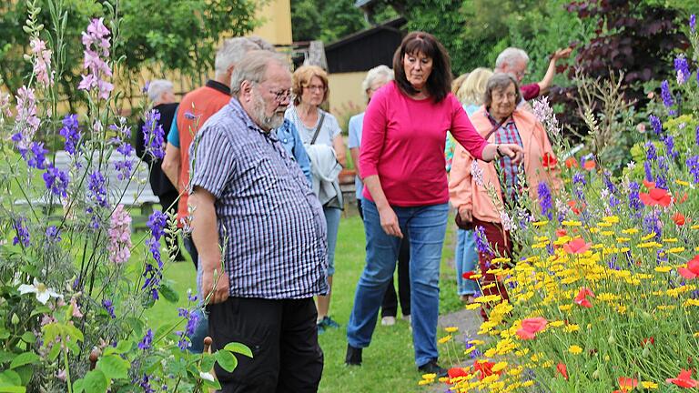 Eine beeindruckende, blühende Sammlung heilender Kräuter schmückt inzwischen den wiederhergestellten Klostergarten, dem die Hammelburger Gartenfreunde einen Besuch abstatteten.       -  Eine beeindruckende, blühende Sammlung heilender Kräuter schmückt inzwischen den wiederhergestellten Klostergarten, dem die Hammelburger Gartenfreunde einen Besuch abstatteten.