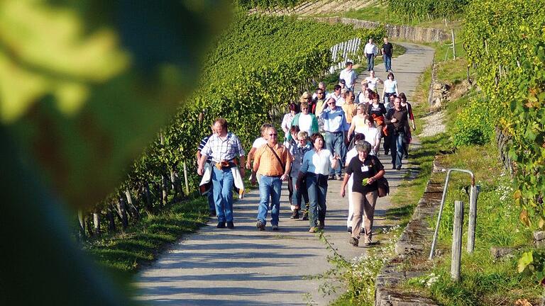 Auf ähnlich gutes Wetter hoffen die Organisatoren in Retzbach auch in diesem Mai. Auf ähnlich gutes Wetter hoffen die Organisatoren in Retzbach auch in diesem Mai.