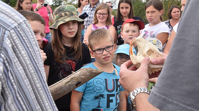 Wie ein Biber mit seinen scharfen Schneidezähnen das Holz bearbeitet, interessierte die Kinder besonders