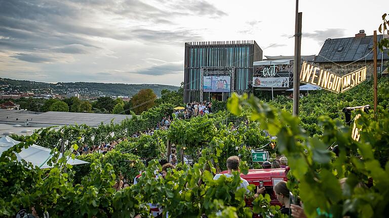 Zahlreiche Menschen besuchen jährlich das Wein am Stein-Festival. Hier ein Foto aus 2023.&nbsp;&nbsp;