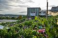 Zahlreiche Menschen besuchen jährlich das Wein am Stein-Festival. Hier ein Foto aus 2023.&nbsp;&nbsp;