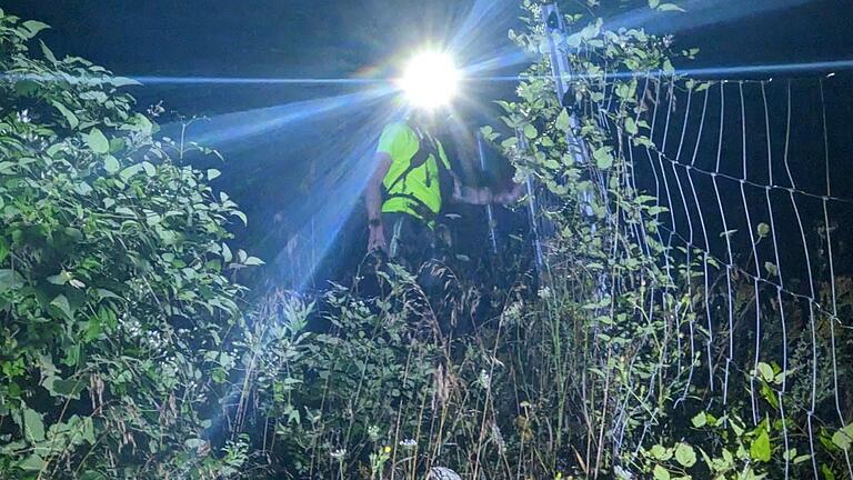 Mitten im Wald ein Hindernis: Hinter dem Zaun geht es senkrecht in die Tiefe.