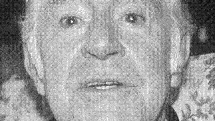Die Gesichter hinter den Stimmen       -  _