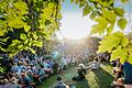 Feierabend im Grünen: Sommer-Flair und entspannte Stimmung bei der Säuplo Serenade in Wülfershausen.