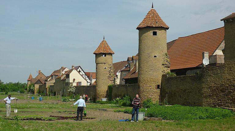 Die Grabengärten in Mainbernheim (2013). Die Grabengärten in Mainbernheim (2013).