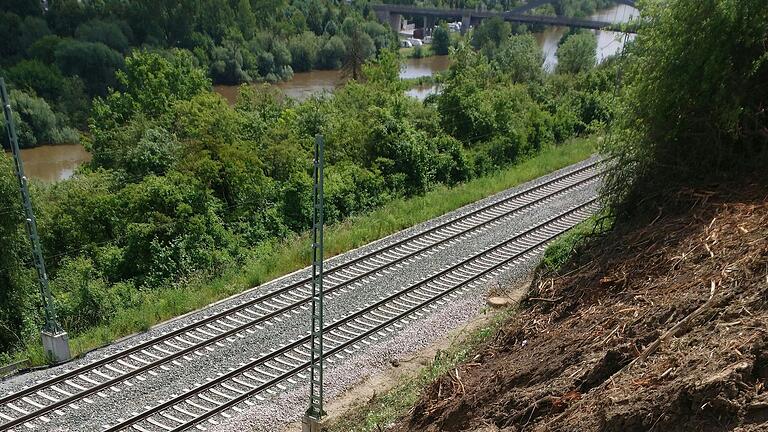 Aktuell ist die Bahnstrecke zwischen Kitzingen und Würzburg wegen eines Erdrutsches nur eingleisig befahrbar. Das zweite Gleis wird bis Ende September repariert. Die Auswirkungen sind besonders für Pendler schwerwiegend.