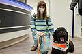 Melanie Hamm und ihr Blindenführhund Nino wurden von einer Arztpraxis abgewiesen, da einige Ärztinnen und Ärzte Bedenken gegen das Zulassen von Hunden in Praxen haben.