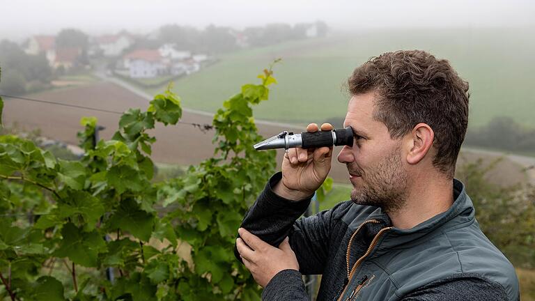 Mit dem Refraktometer misst Philipp Heuring die Qualität der Trauben. Die Traube wird auf dem Glas gerieben. Dann sieht Heuring durch das Refraktometer hindurch, das ihm den Oechslegrad anzeigt. Mit dem Refraktometer misst Philipp Heuring die Qualität der Trauben. Die Traube wird auf dem Glas gerieben. Dann sieht Heuring durch das Refraktometer hindurch, das ihm den Oechslegrad anzeigt.