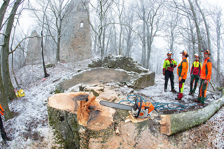 Der Blick auf die dunklen Stellen des abgesägten Baumstrunks zeigt, wie stark das Holz im Baumstamm bereits geschädigt war. Der Blick auf die dunklen Stellen des abgesägten Baumstrunks zeigt, wie stark das Holz im Baumstamm bereits geschädigt war.